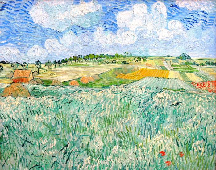 Alföld Auvers közelében, Vincent Van Gogh