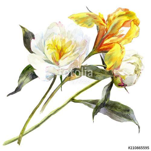Isolated watercolor bouquet of peony and iris flower., Premium Kollekció