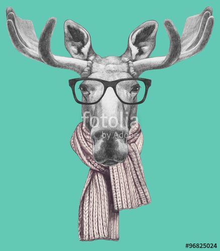 Portrait of Moose with glasses and scarf. Hand drawn illustratio, Premium Kollekció