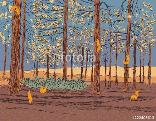 Vector illustration of a pine forest with scurrying squirrels around, Premium Kollekció