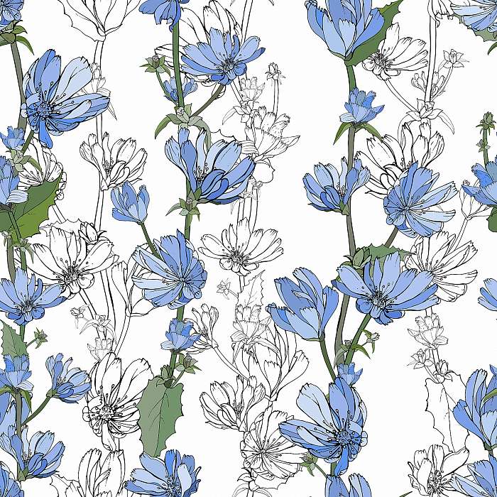 Katángkóró virágminta, 