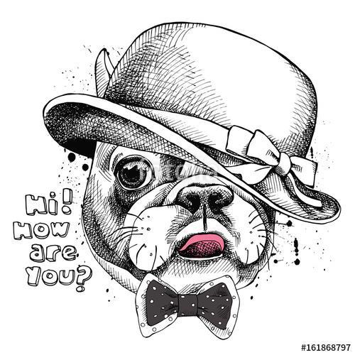 Image Portrait of French bulldog in a Elegant hat and tie. Vecto, Premium Kollekció
