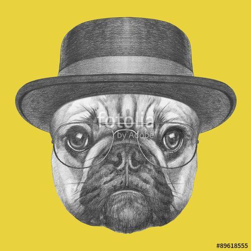 Portrait of French Bulldog with hat and glasses. Hand drawn illu, Premium Kollekció