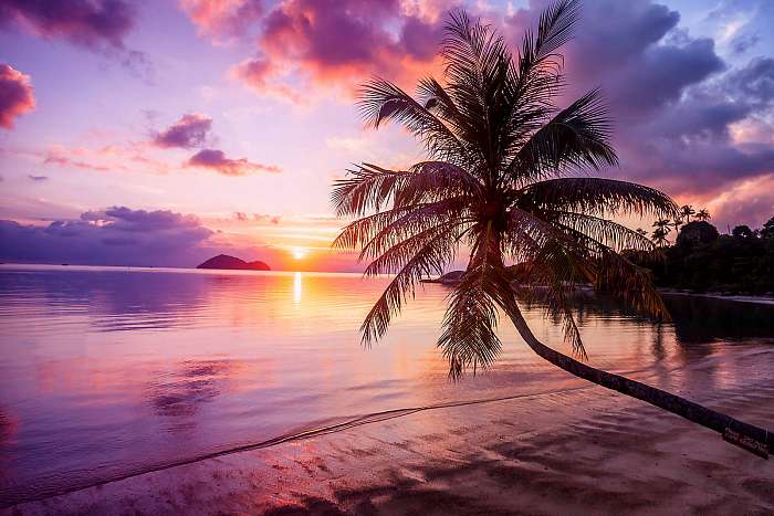 Beautiful bright sunset on a tropical paradise beach, Premium Kollekció