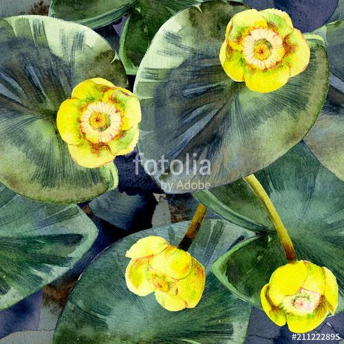 Seamless watercolor pattern of yellow water lilies and leaves., Premium Kollekció