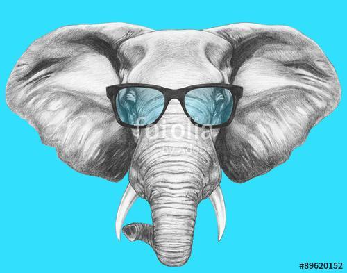 Portrait of Elephant with glasses. Hand drawn illustration., Premium Kollekció