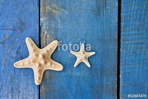 tengeri csillag a kék fán, Premium Kollekció