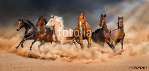 A lóállomány sivatagi homokviharban fut a drámai égbolton, Premium Kollekció