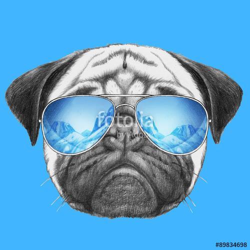 Portrait of Pug Dog with mirror sunglasses. Hand drawn illustrat, Premium Kollekció