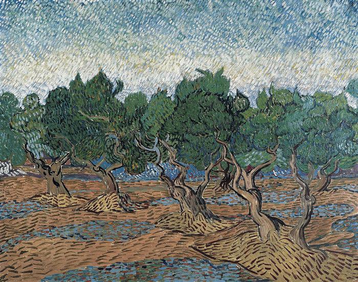 Olajfa liget, Vincent Van Gogh