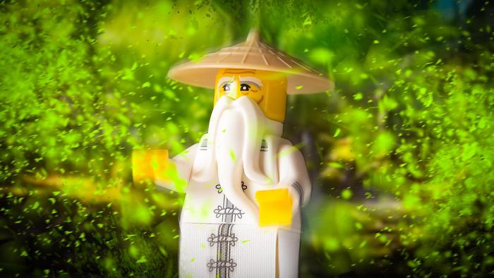 LEGO Characters - Ninja guru, Partner Kollekció