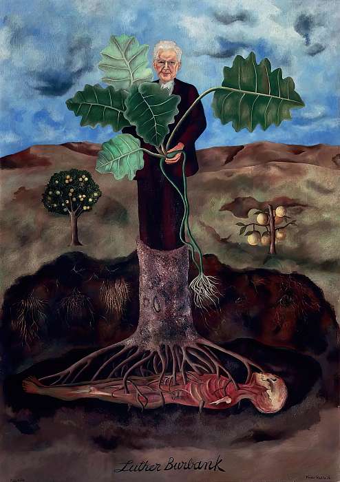 Luther Burbank portréja, Frida Kahlo Luther Burbank portréja, Frida Kahlo