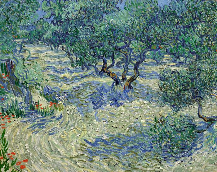 Olajfa ültetvény, Vincent Van Gogh