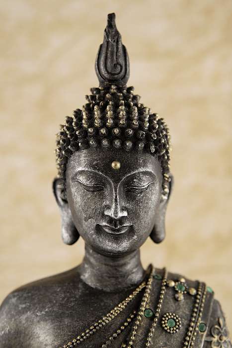 Statue de Buddha, Premium Kollekció