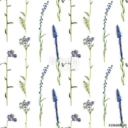 seamless pattern with watercolor drawing flowers and plants, Premium Kollekció