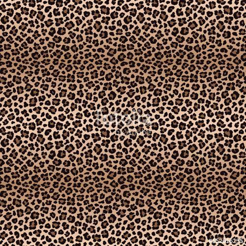 Leopard seamless pattern with color transitions, Premium Kollekció