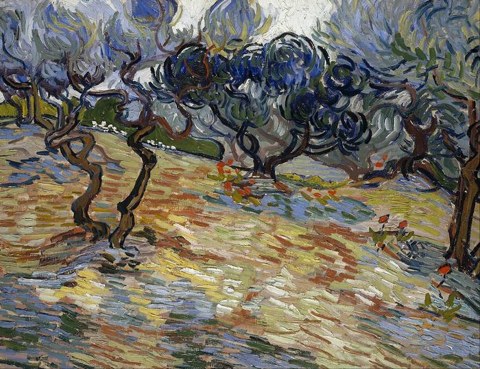 Olajfák, Vincent Van Gogh