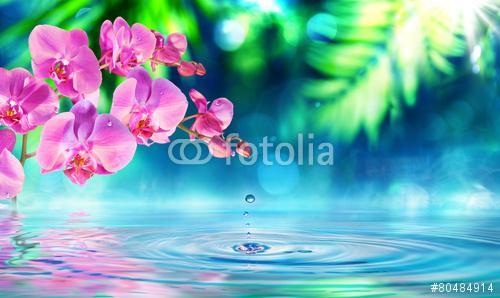 orchidea a zen kertben, cseppenként a tóval, Premium Kollekció