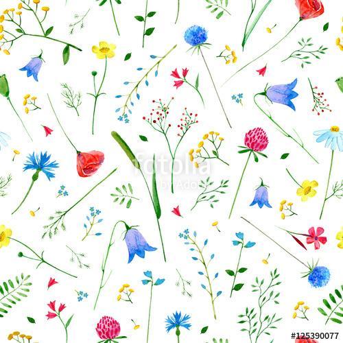 Floral seamless pattern with wild flowers and herbs on a white b, Premium Kollekció