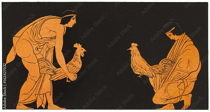 Görög kakasharc, Partner Kollekció Görög kakasharc, Partner Kollekció