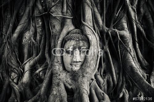 Buddha vezetője. Ayutthaya, Thaiföld., Premium Kollekció