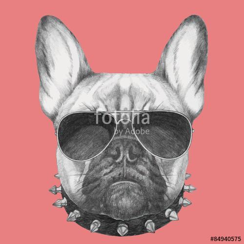 Hand drawn portrait of French Bulldog with collar and sunglasses, Premium Kollekció