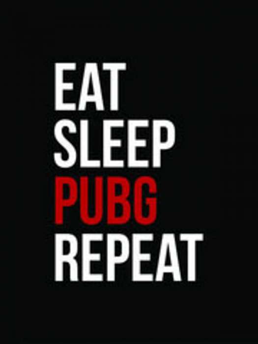 Eat, Sleep, Pubg, Repeat (clean), 