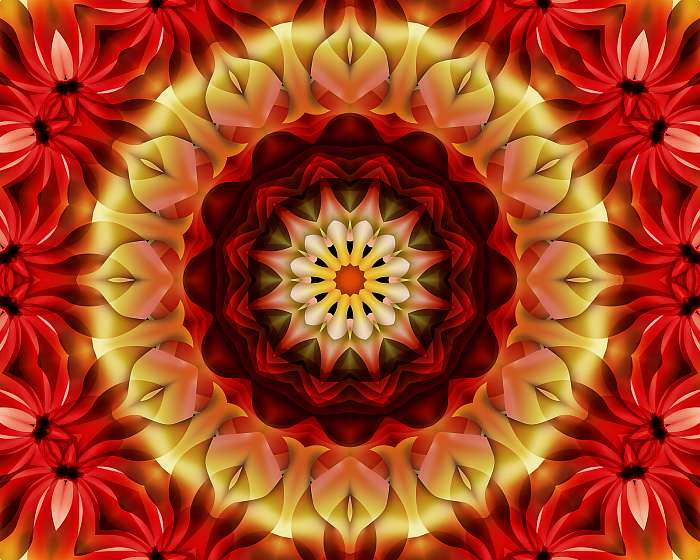 Floral mandala beautiful design, Premium Kollekció