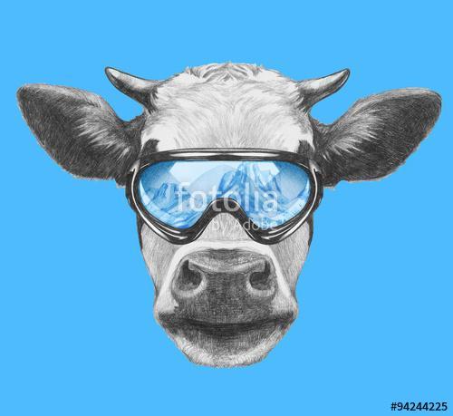 Portrait of Cow with ski goggles. Hand drawn illustration., Premium Kollekció