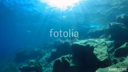 natural underwater background , Premium Kollekció