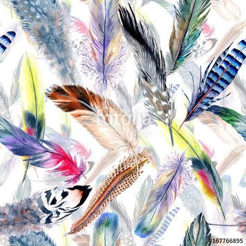 Watercolor bird feather pattern from wing. Aquarelle feather for, Premium Kollekció