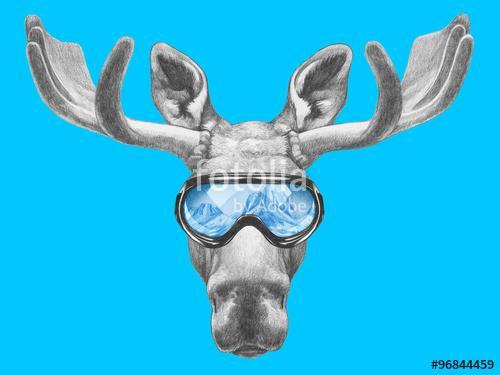 Portrait of Moose with ski goggles. Hand drawn illustration., Premium Kollekció