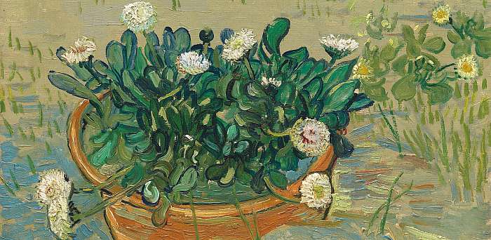 Csendélet százszorszépekkel, Vincent Van Gogh