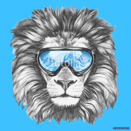 Portrait of Lion with ski goggles. Hand drawn illustration., Premium Kollekció