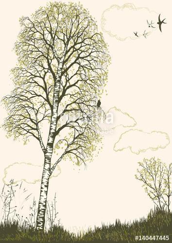 Spring landscape with birch tree silhouette. All objects are on separate layers, Premium Kollekció