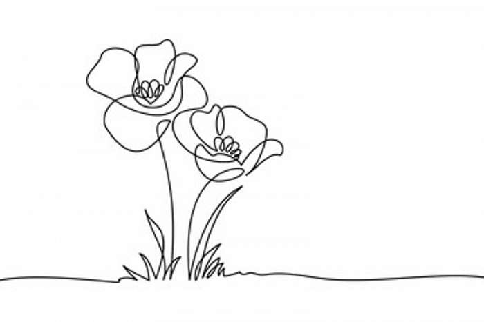 Virágok (vonalrajz, line art), Partner Kollekció
