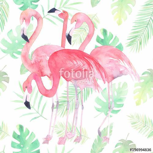 Flamingók és tropikusi levelek, Partner Kollekció