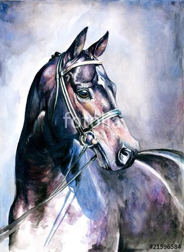 Fekete ló (akvarell), Premium Kollekció