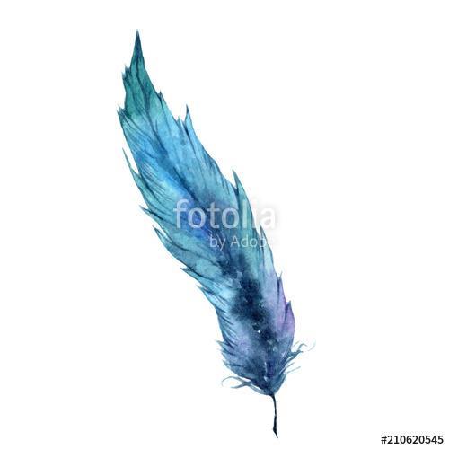 Watercolor bird feather from wing isolated. Aquarelle feather fo, Premium Kollekció