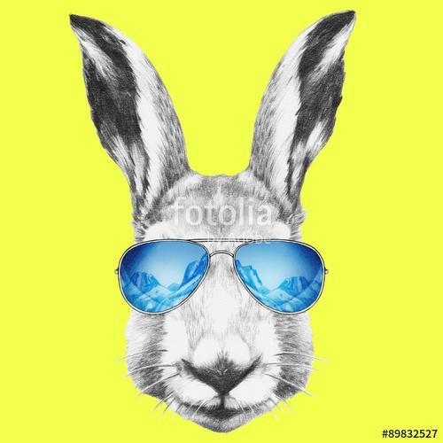 Portrait of Hare with mirror sunglasses and scarf. Hand drawn il, Premium Kollekció