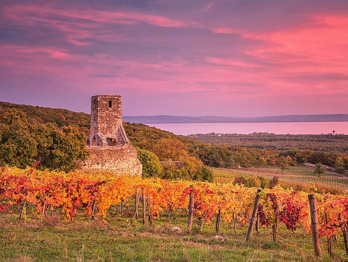 Balaton-felvidéki borászat naplementében, 