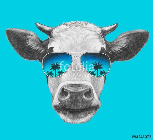 Portrait of Cow with mirror sunglasses. Hand drawn illustration., Premium Kollekció
