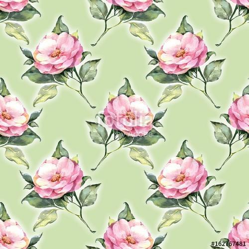 Floral pattern 25. Pink roses, Premium Kollekció