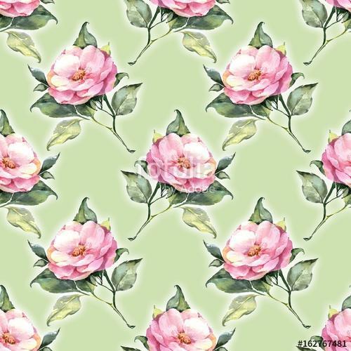 Floral pattern 25. Pink roses, Premium Kollekció