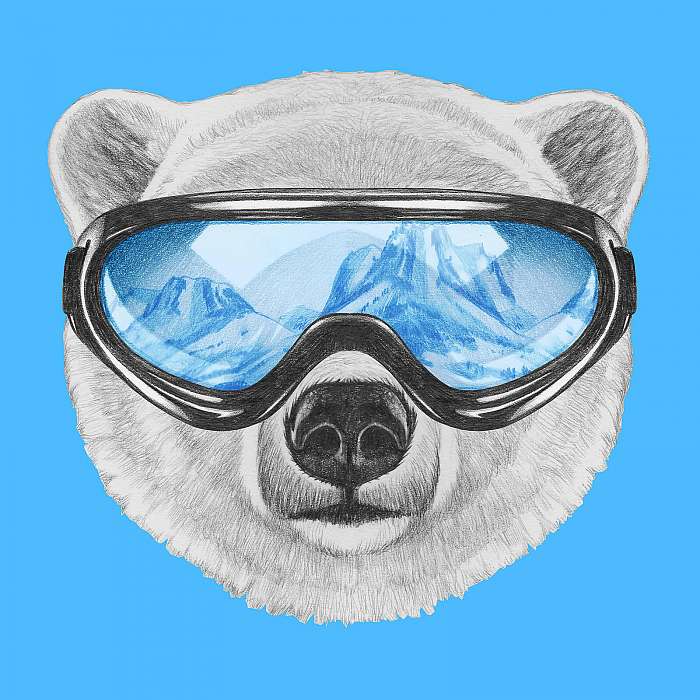 Portrait of Polar Bear with ski goggles. Hand drawn illustration, Premium Kollekció