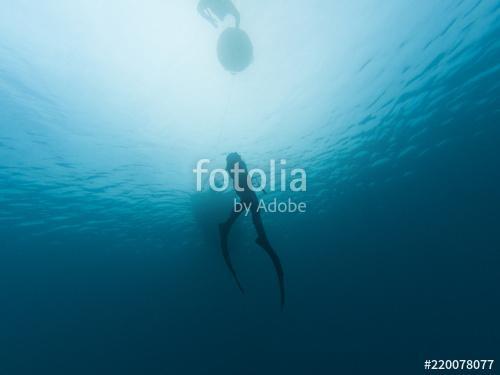 Freedivers in the sea, Premium Kollekció