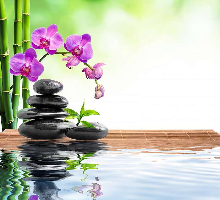 spa háttér bambusz, orchideák és víz, Premium Kollekció