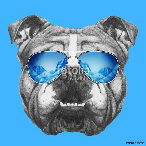 Portrait of English Bulldog mirror sunglasses. Hand drawn illust, Premium Kollekció