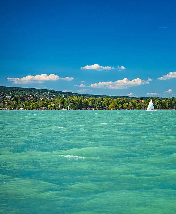 Hullámzó Balaton, vitorlással,  Hullámzó Balaton, vitorlással,