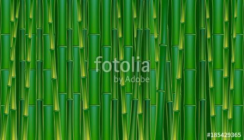 Zöld bambusz háttér., Premium Kollekció